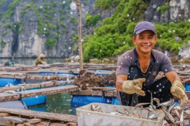 Lan Ha bay - Cat Ba Island (B, L, D)